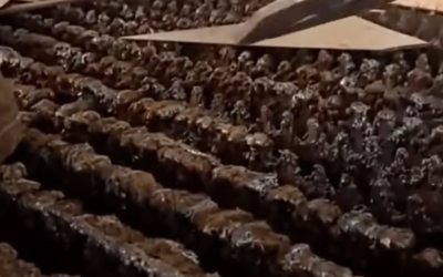 Why Dirty Gratings Reduce Cutting Quality — And Increase Costs